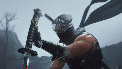 NINJA GAIDEN 2 Black
