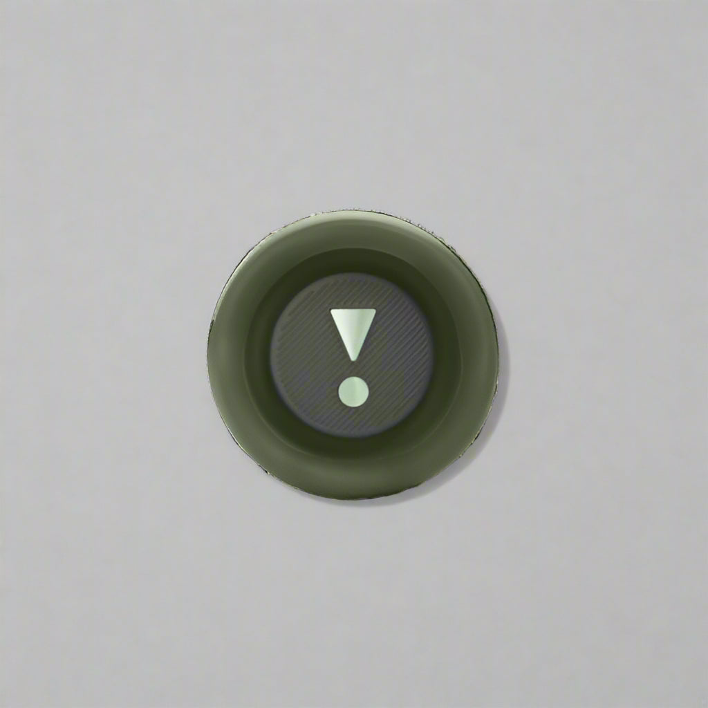 JBL Flip 6