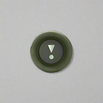JBL Flip 6