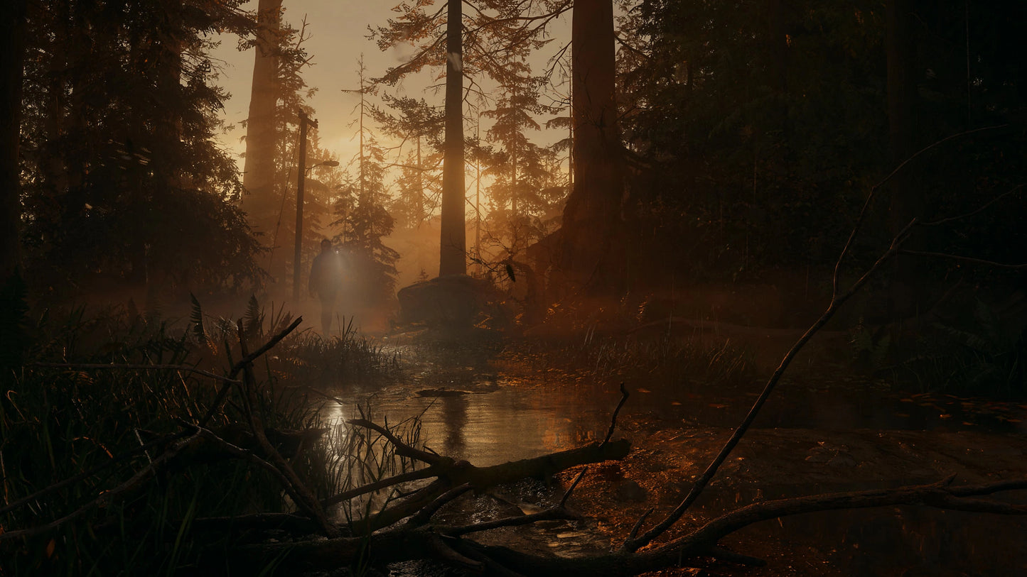 Alan Wake 2 PS5